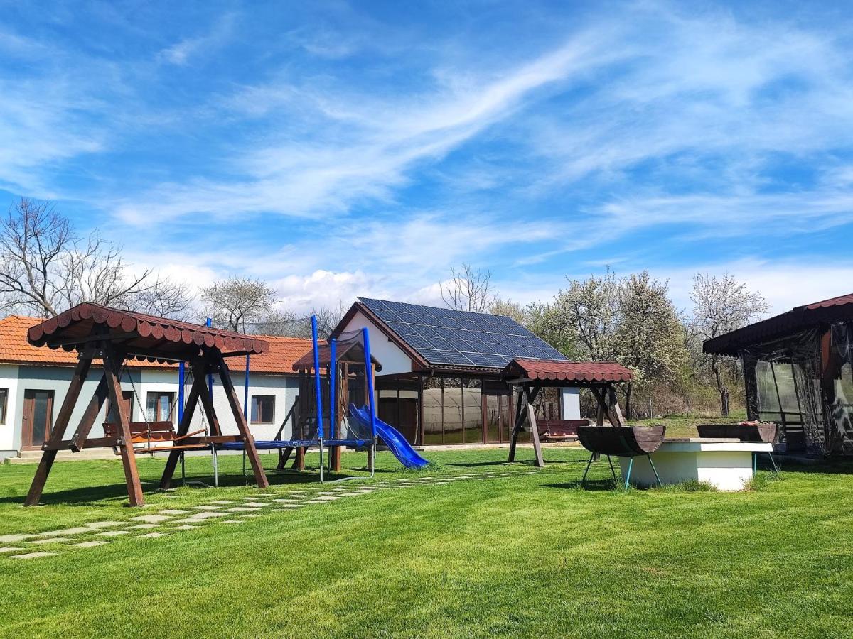 Pensiune Pensiunea Casa Hortopan Târgu Jiu