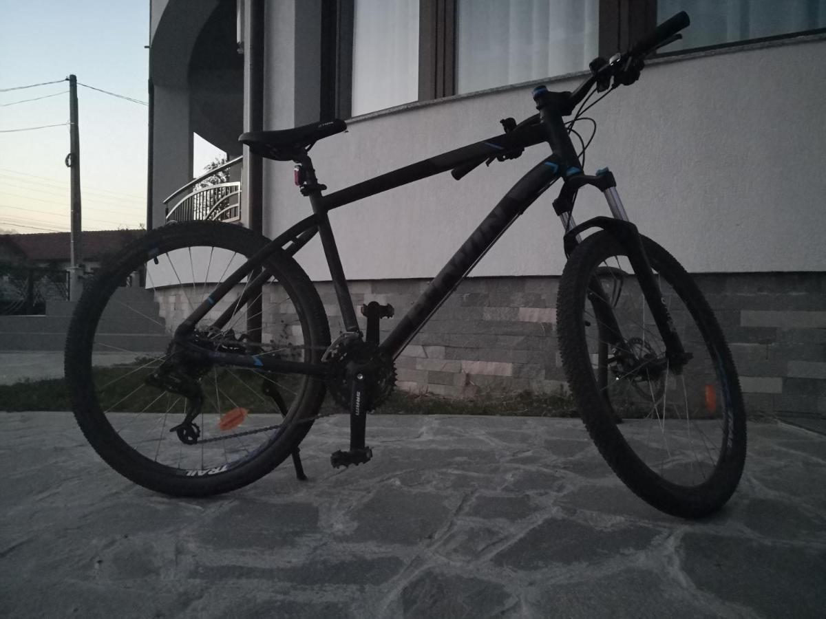 Pensiunea Casa Hortopan * Târgu Jiu